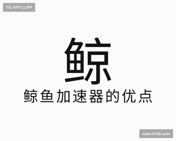 解读鲸鱼加速器的优点